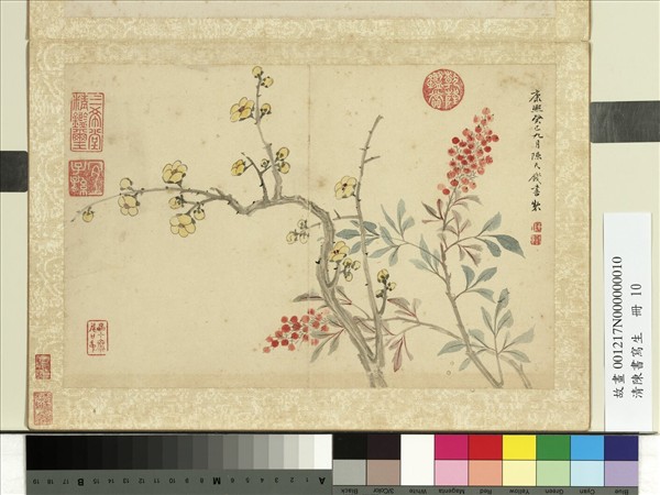 清陳書寫生　冊　蠟梅天竹