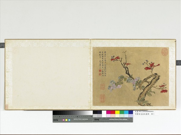 明曹有光孫杕畫冊　冊　秋花紅葉