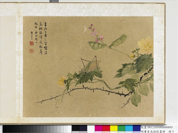 明曹有光孫杕畫冊　冊　野卉秋蟲
