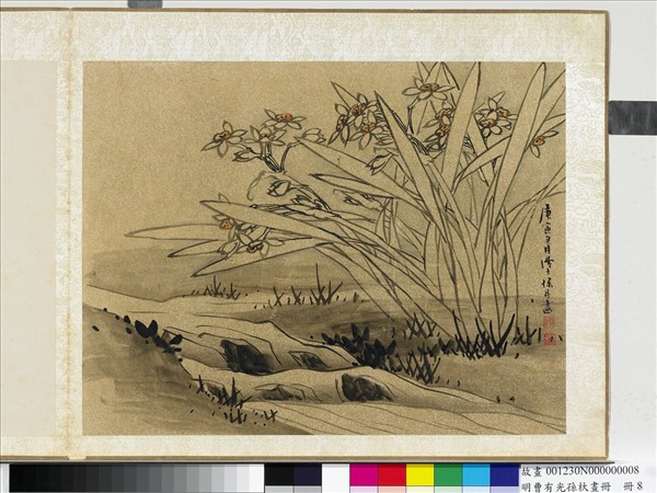 明曹有光孫杕畫冊　冊　畫水仙