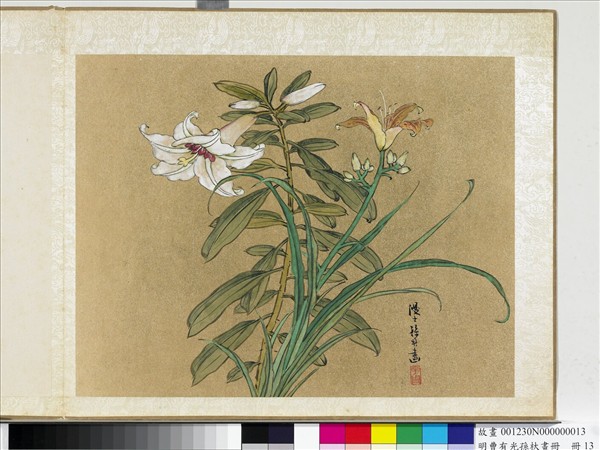 明曹有光孫杕畫冊　冊　畫百合