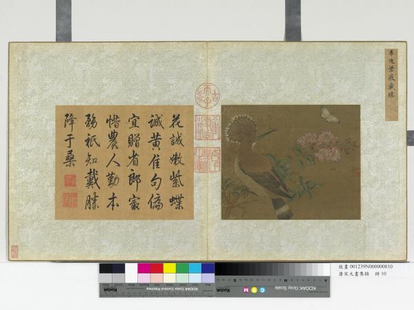 唐宋元畫集錦　冊　宋李迪紫薇戴勝