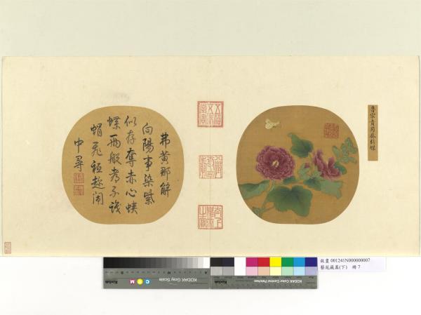 藝苑藏真（下）　冊　宋魯宗貴蜀葵引蝶