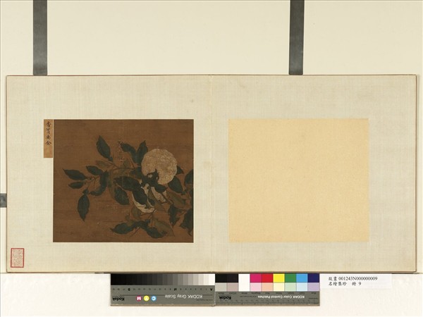 名繪集珍　冊　無款香實垂金