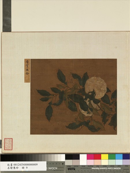 名繪集珍　冊　無款香實垂金