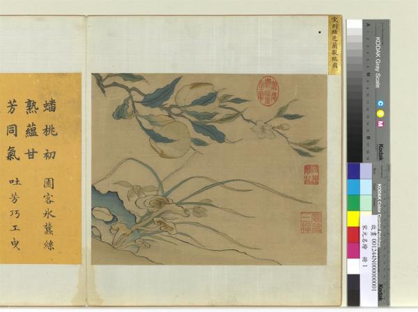 宋元名繪　冊　宋緙絲芝蘭獻瑞圖