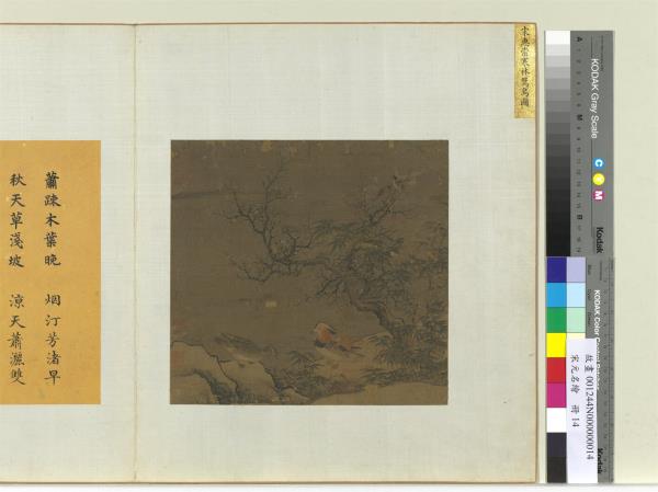 宋元名繪　冊　宋惠崇寒林鴛鳥圖