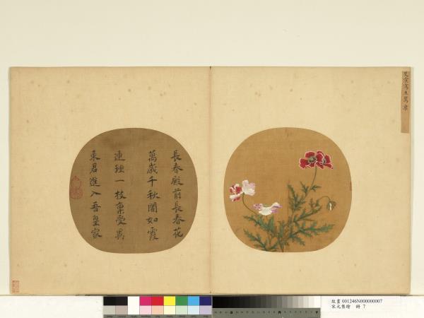 宋元集繪　冊　宋艾宣寫生罌粟