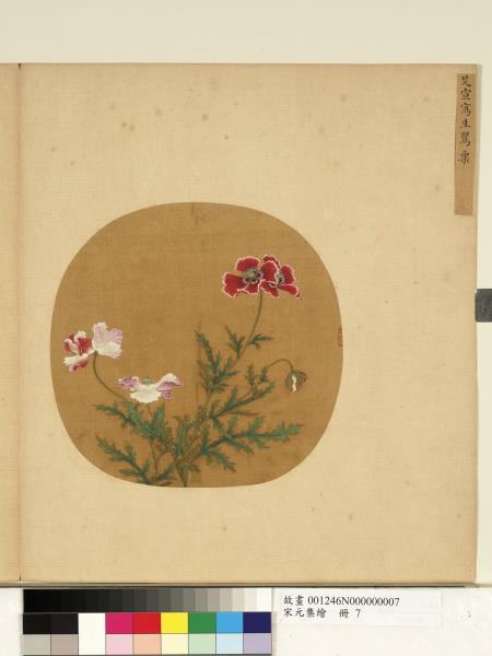 宋元集繪　冊　宋艾宣寫生罌粟