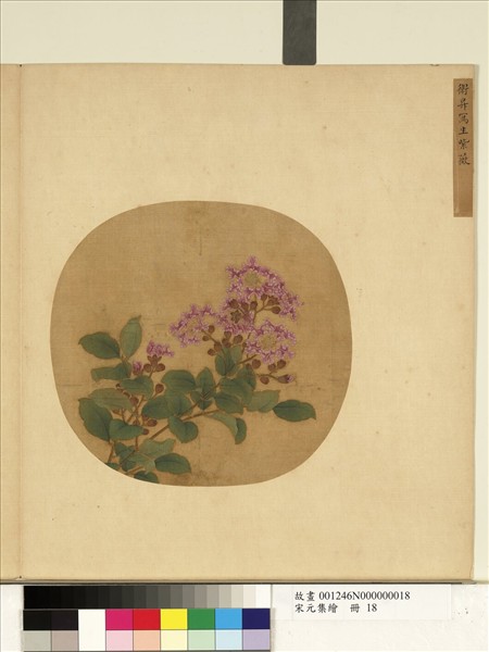 宋元集繪　冊　宋衛昇寫生紫薇