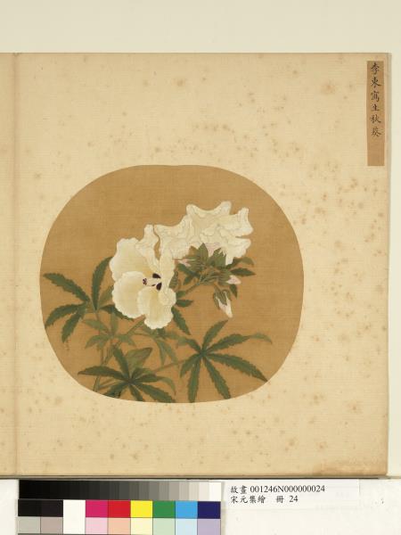 宋元集繪　冊　宋李東寫生秋葵