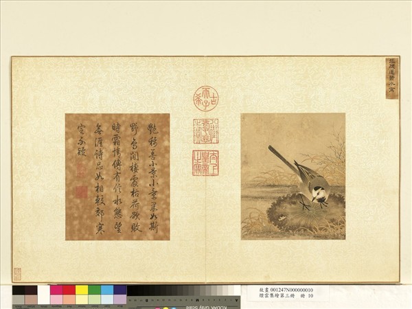 煙雲集繪第三冊　冊　宋張茂蓮葉水禽