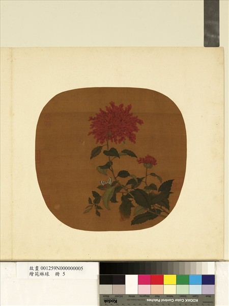 繪苑琳球　冊　無款花蝶圖