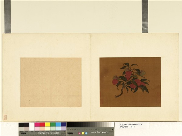 繪苑琳球　冊　無款荔枝圖