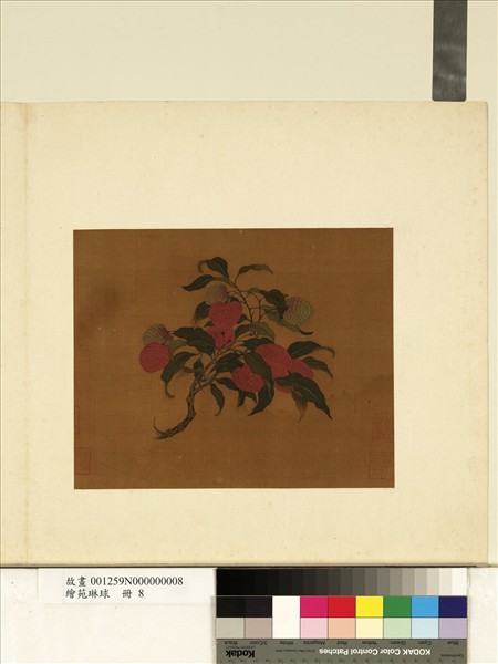 繪苑琳球　冊　無款荔枝圖