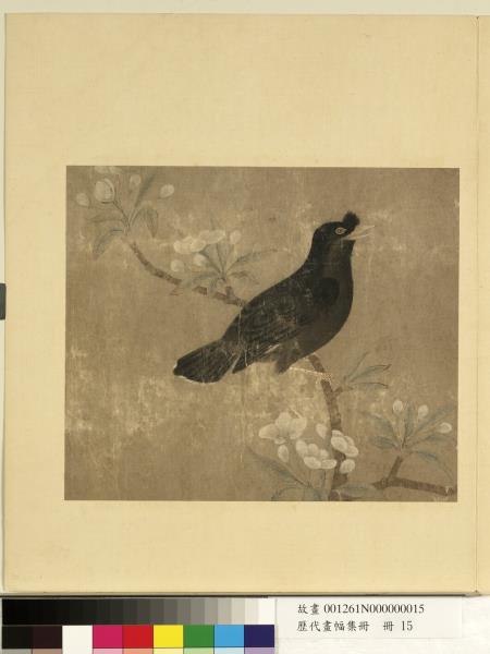 歷代畫幅集冊　冊　無款梨花鴝鵒