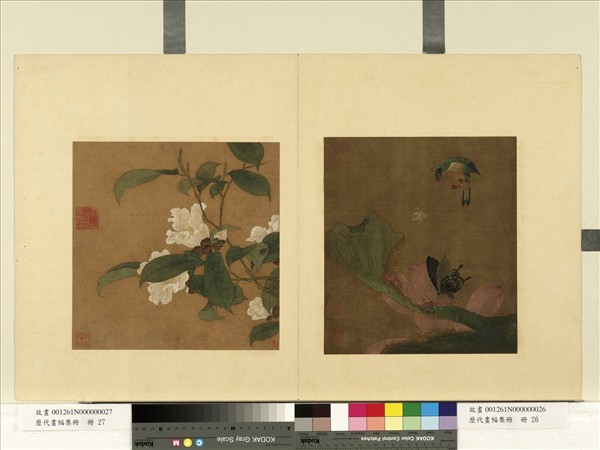 歷代畫幅集冊　冊　無款花鳥草蟲