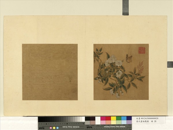 歷代畫幅集冊　冊　無款花蝶