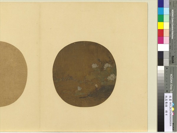 紈扇集錦　冊　荷溪浴鷺