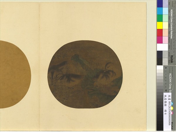 紈扇集錦　冊　蓮塘睡鳧