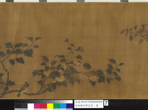 宋林椿四季花卉　卷