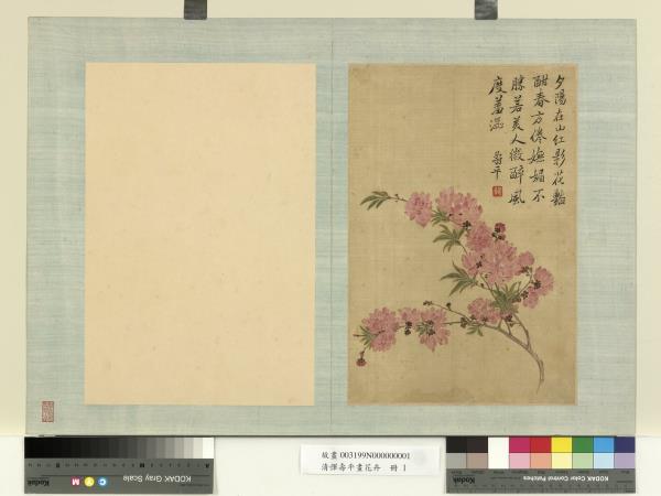 清惲壽平畫花卉　冊　碧桃