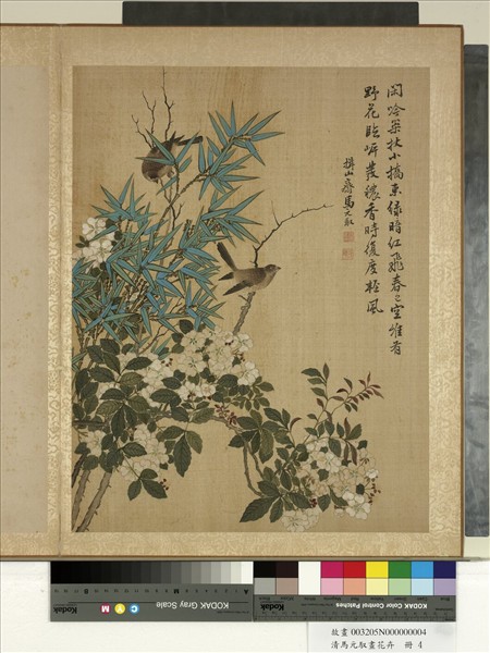 清馬元馭畫花卉　冊　月季竹鳥