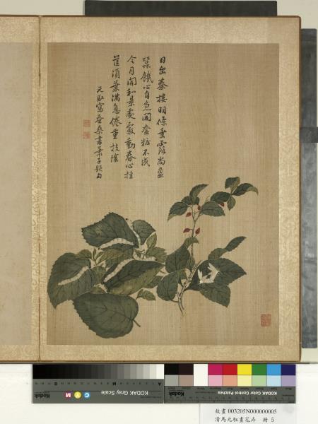 清馬元馭畫花卉冊蜂蝶虞美人- 故宮