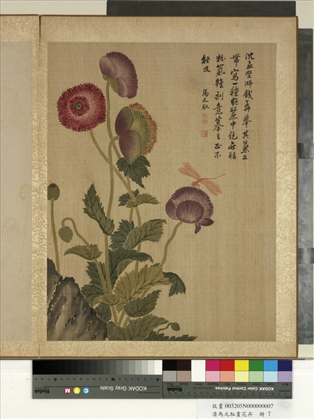 清馬元馭畫花卉　冊　罌粟蜻蜓