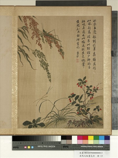 清馬元馭畫花卉　冊　枸杞蝗蟲