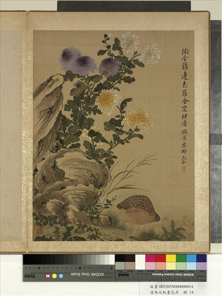 清馬元馭畫花卉　冊　菊花鵪鶉