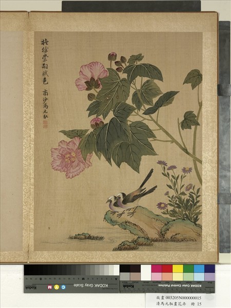 清馬元馭畫花卉　冊　芙蓉鶺鴒