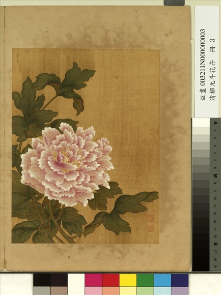 清鄒元斗花卉　冊　牡丹