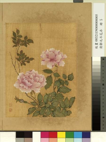 清鄒元斗花卉　冊　月季