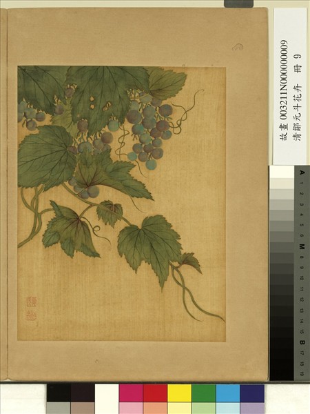 清鄒元斗花卉　冊　葡萄