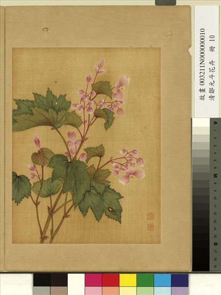 清鄒元斗花卉　冊　秋海棠