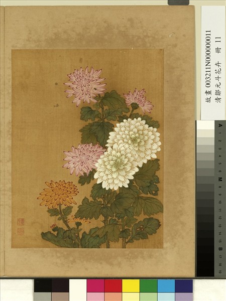 清鄒元斗花卉　冊　菊