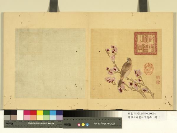 清鄒元斗畫四季花卉　冊　杏花