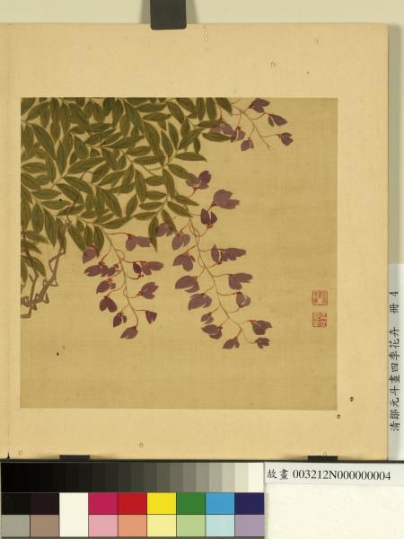 清鄒元斗畫四季花卉　冊　紫藤