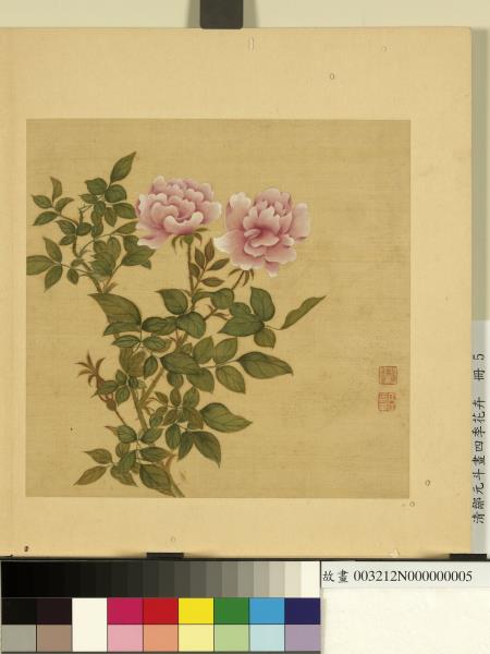 清鄒元斗畫四季花卉　冊　月季玫瑰