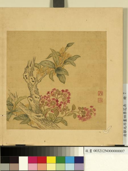 清鄒元斗畫四季花卉　冊　桂花紫薇