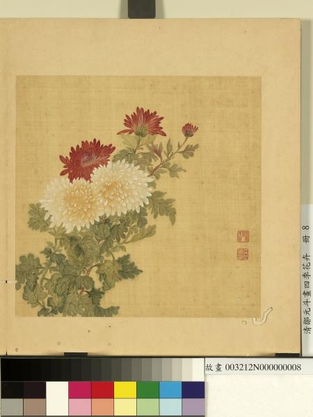 清鄒元斗畫四季花卉　冊　菊