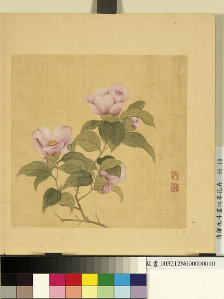清鄒元斗畫四季花卉　冊　茶花