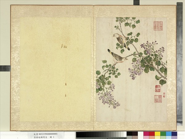 清蔣廷錫寫生　冊　紫丁香