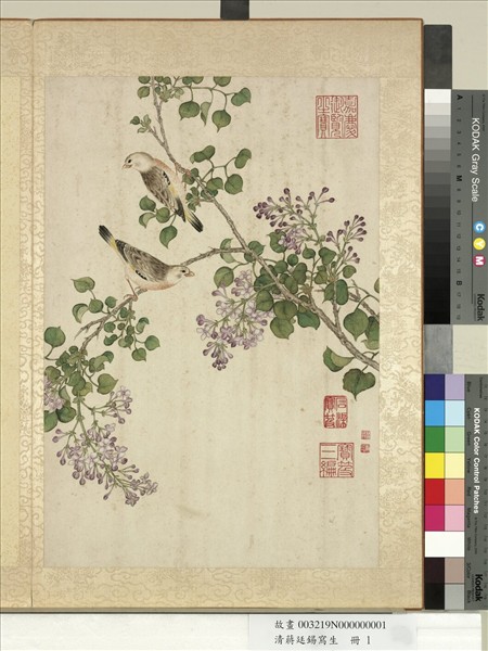 清蔣廷錫寫生　冊　紫丁香