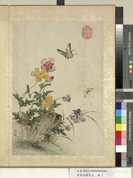 清蔣廷錫寫生　冊　虞美人