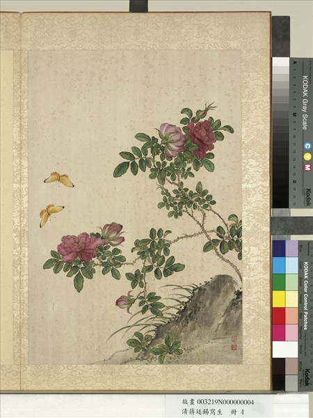 清蔣廷錫寫生　冊　玫瑰