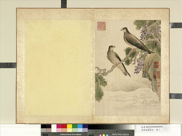 清蔣廷錫寫生　冊　柏樹藤花