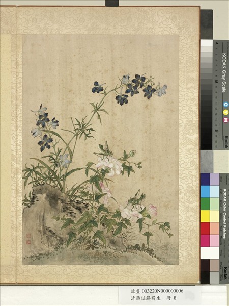 清蔣廷錫寫生　冊　蓮花翠雀