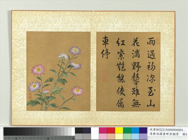 清蔣廷錫畫群芳擷秀　冊　野菊